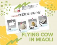 FLYING COW-PUDDING