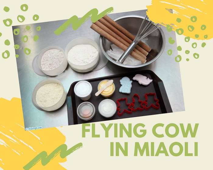 FLYING COW-DIY